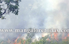 Bantwal :  Fire destroys 5 acre of forest land at Ananthady